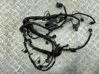 проводка двигателя Dodge Caliber 1 поколение 2006, 1.8 л., бензин, МКПП, серый, хетчбэк 5 дв., 04795312AF