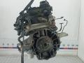 двигатель Ford Transit 8 поколение 2016, 2.2 л., дизель, МКПП, микроавтобус, CHITAETSYA - фото №3