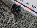 прицепное устройство (фаркоп) Nissan Qashqai 2 поколение 2013, 1.5 л., дизель, МКПП, внедорожник 5 дв. - фото №9