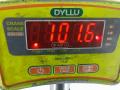 двигатель Ford Focus 2 поколение [рестайлинг] 2008, 1.6 л., бензин, МКПП, хетчбэк 5 дв., SHDASHDBSHDC - фото №18
