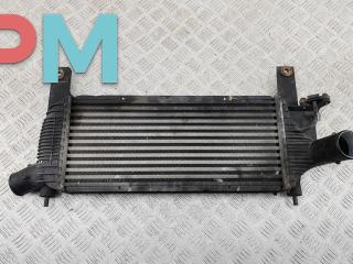 радиатор интеркулера Nissan Pathfinder R51 2005, 2.5 л., дизель, АКПП, синий, внедорожник 5 дв., 14461EB360
