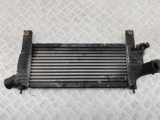 радиатор интеркулера Nissan Pathfinder R51 2005, 2.5 л., дизель, АКПП, синий, внедорожник 5 дв., 14461EB360