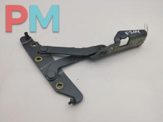 петля крышки багажника Nissan Primera P12 2002, серый, седан