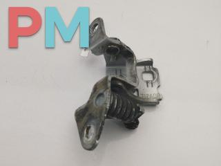 петля двери Dodge Caliber 1 поколение 2006, серый, хетчбэк 5 дв., 712ADR