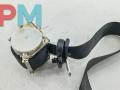 ремень безопасности Ford Focus 2 поколение 2006, 1.6 л., i, бензин, МКПП, чёрный, универсал, 4M51A61294AK - фото №2