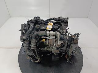 двигатель Ford Fiesta 6 поколение 2010, цвет, TZJA