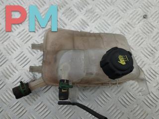 бачок расширительный Renault Megane 3 поколение 2009, 1.4 л., бензин, 217100005R
