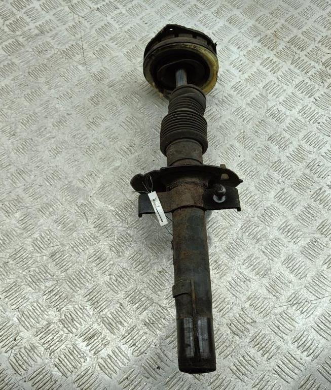 амортизатор передний правый Renault Scenic II 2004, 2.0 л., бензин, МКПП, зелёный, минивэн