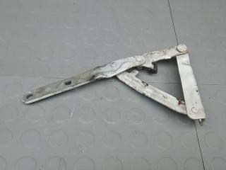 петля капота Volkswagen Transporter T5 2006, 1.9 л., дизель, МКПП, микроавтобус