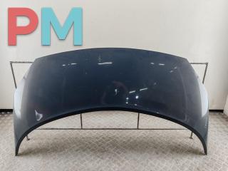 капот Renault Scenic 2 поколение [рестайлинг] 2007, 1.9 л., дизель, МКПП, серый, минивэн