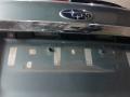 крышка багажника Subaru Outback 4 поколение 2011, 2.0 л., дизель, МКПП, универсал - фото №8
