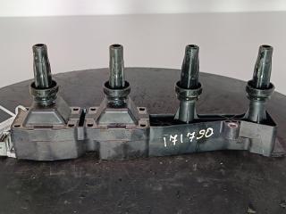 катушка зажигания Peugeot 206 1 поколение [рестайлинг] 2004, цвет