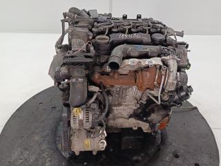 двигатель Ford Focus 2 поколение 2006, цвет, HHDA