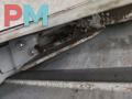 дверь задняя распашная левая Ford Transit 6 поколение 2005, 2.0 л., дизель, МКПП, серый, микроавтобус - фото №5