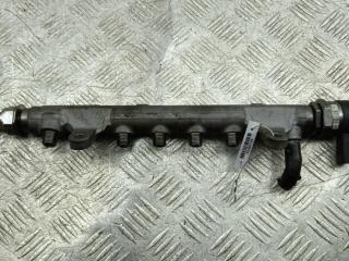 топливная рампа Volkswagen Passat B6 2008, 2.0 л., дизель, МКПП, синий, универсал, 03L130089