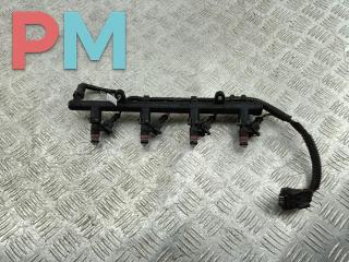Форсунка топливная (комплект) Renault Megane 2 поколение 2004, 1.6 л., бензин, МКПП, чёрный, универсал, H132259