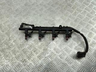 Форсунка топливная (комплект) Renault Megane 2 поколение 2004, 1.6 л., бензин, МКПП, чёрный, универсал, H132259