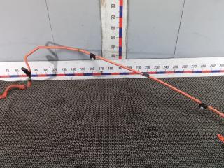 Электропроводка бензиновая Toyota Prius 4 поколение 2018, 1.8 л., гибрид, АКПП, хетчбэк 5 дв.