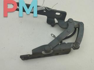 петля капота правая BMW 7 серия E65/E66/E67 2003, зелёный, седан, 8240334