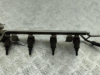 Форсунка топливная (комплект) Volkswagen Golf 4 поколение 1998, 1.8 л., бензин, МКПП, красный, хетчбэк 3 дв., 06A906031D