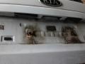 крышка багажника Kia Ceed 1 поколение [рестайлинг] 2010, 1.6 л., дизель, МКПП, хетчбэк 5 дв. - фото №7