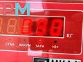 петля двери SEAT Leon 2 поколение [рестайлинг] 2010, серый, хетчбэк 5 дв., 6Q0831411A - фото №3