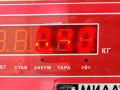 петля двери Volkswagen Tiguan 2 поколение 2016, коричневый, внедорожник 5 дв., 8X0831403E - фото №3