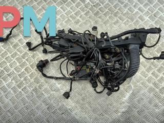 проводка двигателя BMW 7 серия E65/E66/E67 2003, 4.4 л., бензин, АКПП, зелёный, седан, 7520803, 7516829
