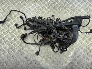 проводка двигателя BMW 7 серия E65/E66/E67 2003, 4.4 л., бензин, АКПП, зелёный, седан, 7520803, 7516829