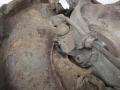 ступица задняя левая Audi A8 D3/4E 2004, 3.0 л., дизель, АКПП, седан, 4D0407613E, 4E0505435C - фото №5