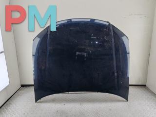 капот Audi A8 D3/4E 2003, 4.2 л., бензин, АКПП, синий, седан