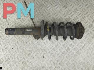 стойка передняя Volkswagen Passat B6 2005, 2.0 л., дизель, МКПП, серый, универсал, 3C0413031AC