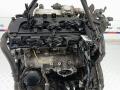 двигатель Nissan Navara D40 [рестайлинг] 2010, 2.5 л., дизель, АКПП, пикап, YD25DDTI - фото №11