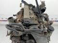 двигатель Toyota Land Cruiser Prado J120 2004, 3.0 л., дизель, МКПП, внедорожник 5 дв., 1KD-FTV - фото №18