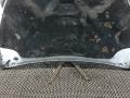 капот SEAT Leon 3 поколение 2012, 1.6 л., дизель, МКПП, хетчбэк 5 дв. - фото №9