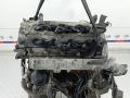 двигатель Nissan Pathfinder R51 2006, 2.5 л., дизель, МКПП, внедорожник 5 дв., YD25DDTI - фото №11