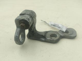 петля двери Ford Focus 2 поколение 2004, серый, хетчбэк 5 дв.
