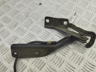 петля капота правая Nissan Primera P12 2006, чёрный, универсал