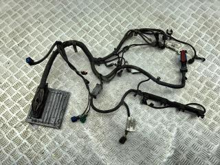 проводка двигателя Ford Focus 2 поколение 2005, 1.6 л., i, бензин, МКПП, серый, хетчбэк 3 дв., S118934101G, 4M5112A650HG, 3M5T12A690BR