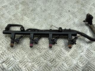 Форсунка топливная (комплект) Renault Scenic 2 поколение 2004, 1.6 л., бензин, МКПП, красный, минивэн, H132259
