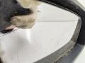 зеркало правое Opel Zafira 2 поколение (B) [рестайлинг] 2008, 1.9 л., дизель, МКПП, синий, минивэн, 13252958 - фото №2
