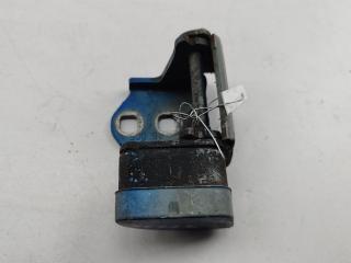 петля двери Renault Scenic 2 поколение 2005, синий, минивэн