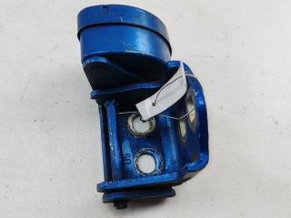 петля двери Renault Scenic 2 поколение 2005, синий, минивэн