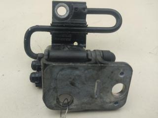 петля двери Volkswagen Passat B6 2009, чёрный, универсал, 3C8833411A
