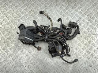 проводка двигателя Opel Antara 2007, 2.0 л., дизель, МКПП, чёрный, внедорожник 5 дв.