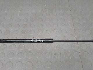 амортизатор капота Hyundai Santa Fe 2 поколение (CM) [рестайлинг] 2011, 2.2 л., дизель, АКПП, внедорожник 5 дв.