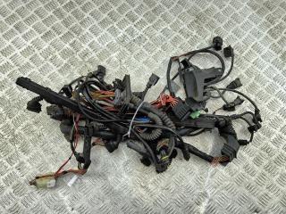 проводка двигателя BMW 5 E39 2002, 2.2 л., бензин, МКПП, синий, седан, 7503591