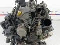 двигатель Nissan Qashqai 2011, 1.6 л., дизель, МКПП, внедорожник 5 дв., 1010200Q5J, C007873 - фото №18