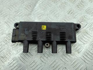 катушка зажигания Fiat Grande Punto 2009, 1.2 л., бензин, МКПП, красный, хетчбэк 3 дв., 55200112