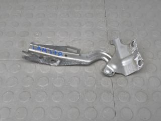 петля капота Ford Ranger 2014, 3.2 л., дизель, МКПП, пикап